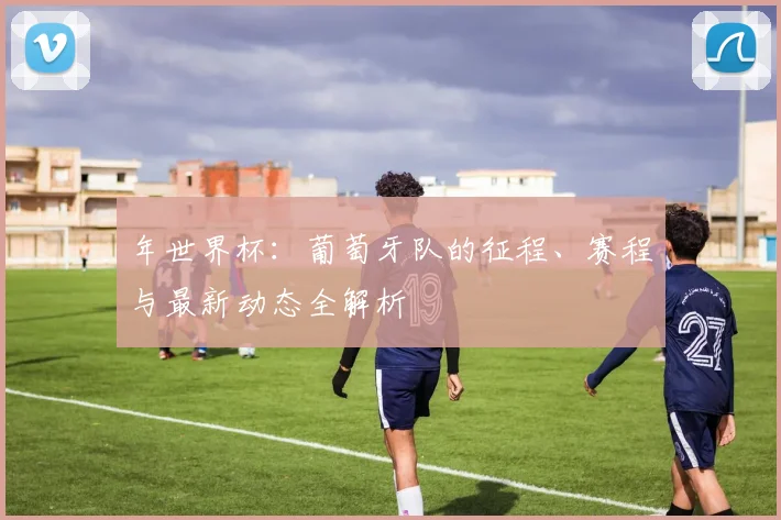年世界杯:葡萄牙队的征程、赛程与最新动态全解析